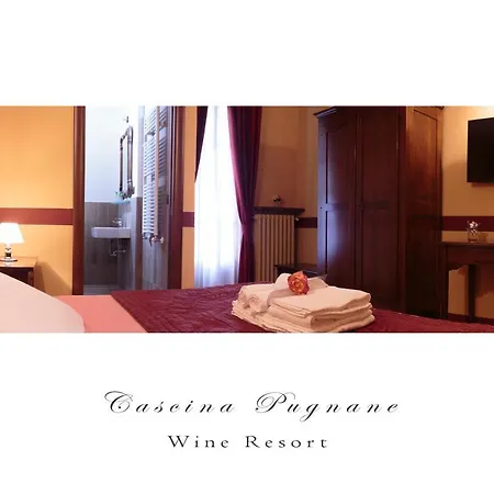 Cascina Pugnane Lantgård Castiglione Falletto